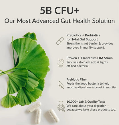 BIOptimizers Probiotic Breakthrough – Lactobacillus Plantarum OM Probiotics & Prebiotics Health Supplement for Gut, Digestive & Immune Support Probiotics for Women Men Elderly– 30 Vegan Capsules - Maple Wellness Supplements