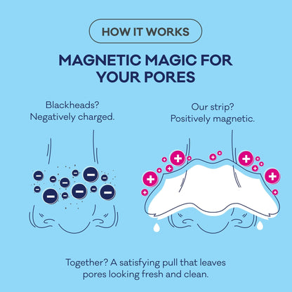 Biore Charcoal, Deep Cleansing Pore Strips, Nose Strips for Blackhead Removal on Oily Skin - Maple Wellness Supplements