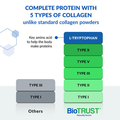 BioTrust Ageless Multi Collagen Peptides Powder – 5 Types (I, II, III, V, X) – Chocolate Collagen Powder for Women & Men – Hydrolyzed Protein – Grass Fed Beef, Fish, Chicken, Eggshell Membrane - Maple Wellness Supplements