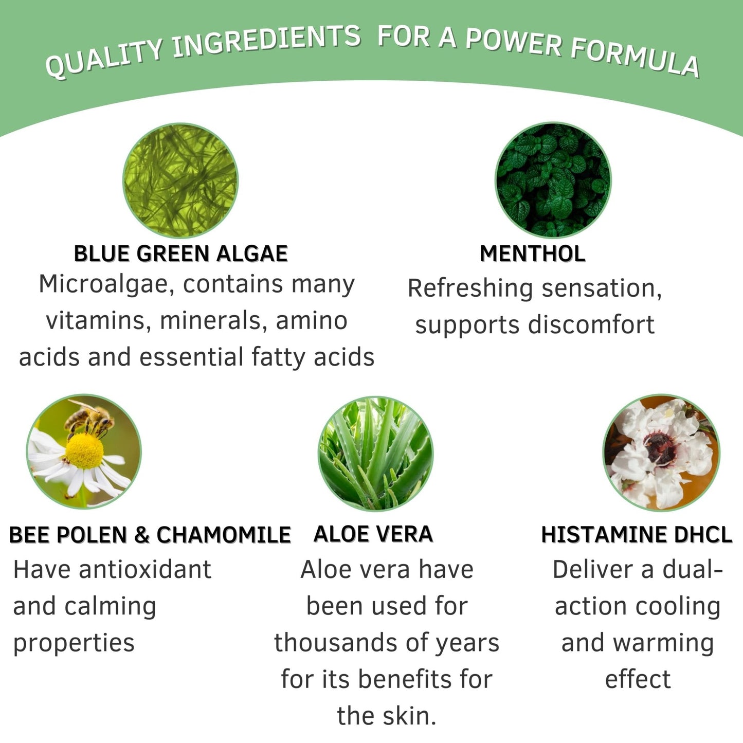 Bioxtron Life Cream Natural AFA Stem Cell Supplement 2 oz - Joint Pain - Muscle Pain - Fatigue - Maple Wellness Supplements