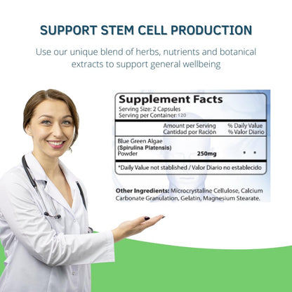 Bioxtron Natural AFA Stem Cell Supplement - Joint Support & Muscle Pain - Immune System Support - Natural Blue Green Algae Spirulina - 120 Caps - Maple Wellness Supplements