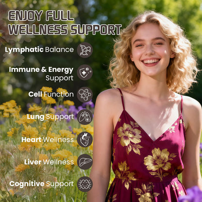 BIOZQYNK Lymphatic Drainage Liquid Drops – Herbal Extracts & Botanicals for Circulation, Immune & Detox Support – Alcohol-Free, Vegan (2 fl oz) - Maple Wellness Supplements
