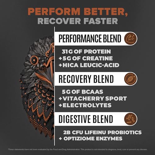 Birdman Falcon Performance Vegan Protein Powder, 31g Protein, 5g Creatine, 5g BCAA - Maple Wellness Supplements