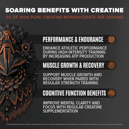 Birdman Falcon Performance Vegan Protein Powder, 31g Protein, 5g Creatine, 5g BCAA - Maple Wellness Supplements