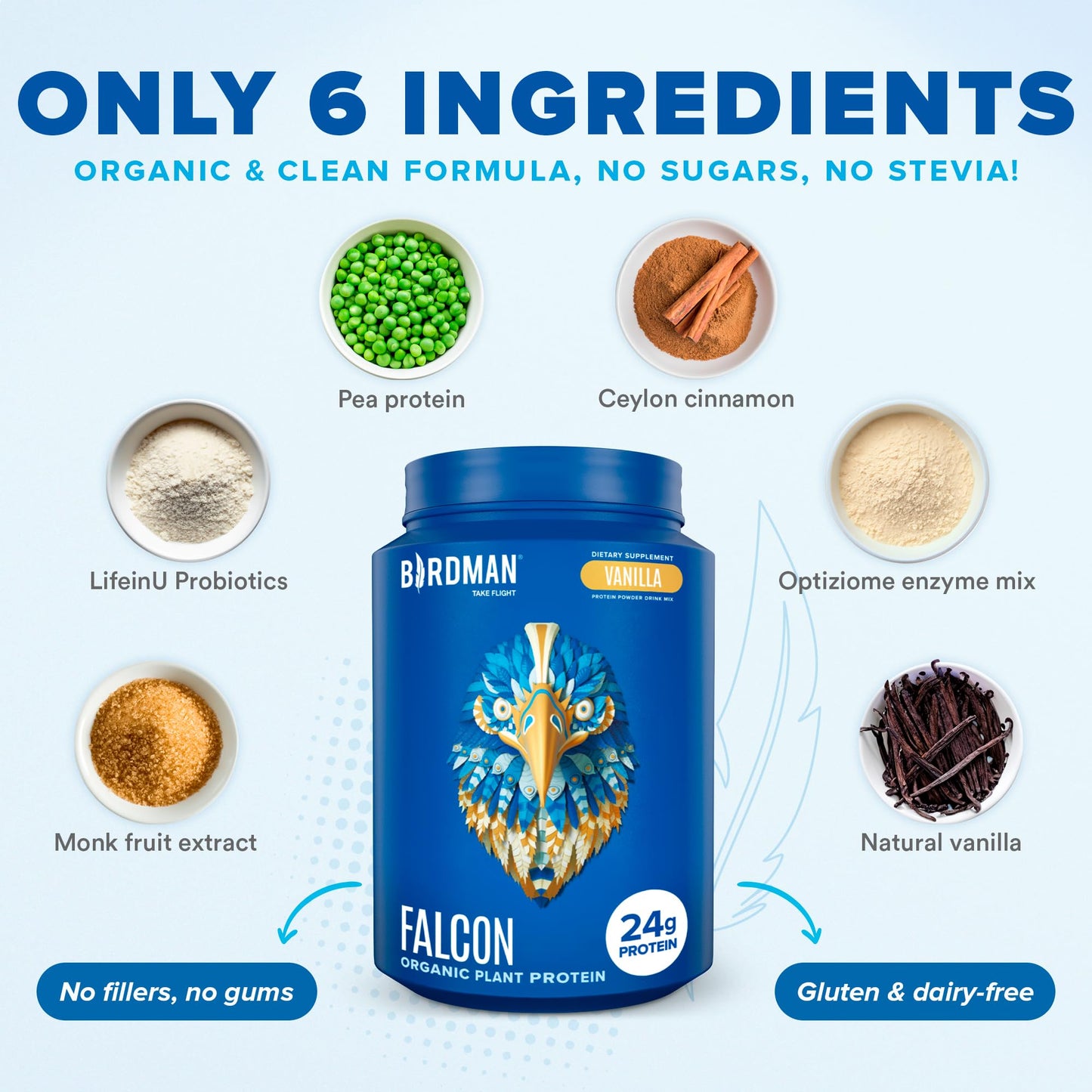 BIRDMAN Falcon Vegan Protein Powder Organic, Stevia & Sugar Free, Plant Based Protein - Maple Wellness Supplements