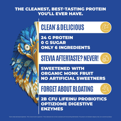 BIRDMAN Falcon Vegan Protein Powder Organic, Stevia & Sugar Free, Plant Based Protein - Maple Wellness Supplements