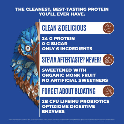 BIRDMAN Falcon Vegan Protein Powder Organic, Stevia & Sugar Free, Plant Based Protein - Maple Wellness Supplements