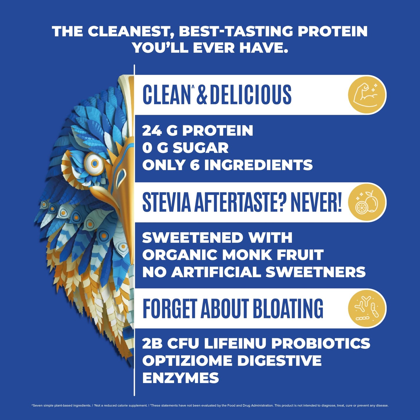 BIRDMAN Falcon Vegan Protein Powder Organic, Stevia & Sugar Free, Plant Based Protein - Maple Wellness Supplements