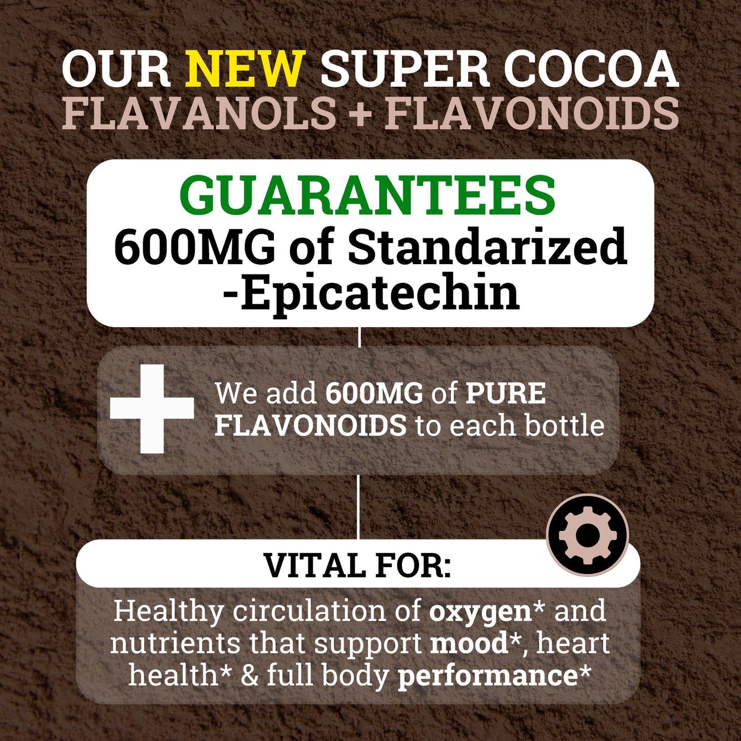 Black Forest High Flavanol Cocoa Powder (1200mg Flavanols & Flavonoids Supplements)10X More Flavanols (Epicatechin) Than Cocoa & 600mg of Epicatechin Supplement - Maple Wellness Supplements