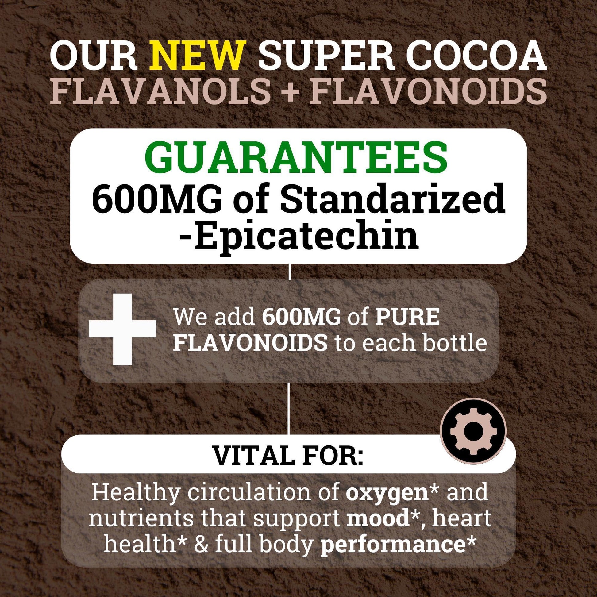 Black Forest High Flavanol Cocoa Powder (1200mg Flavanols & Flavonoids Supplements)10X More Flavanols (Epicatechin) Than Cocoa & 600mg of Epicatechin Supplement - Maple Wellness Supplements