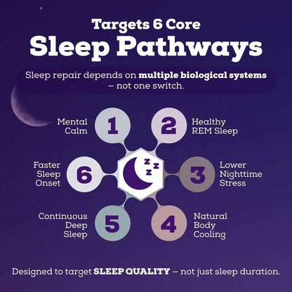 Black Forest Sleepy Hot Cocoa - Magnesium Hot Chocolate Sleepy Cocoa Sleep Powder for Adults with Melatonin & L-Theanine - Natural Sleep Drink Mix for Deep Sleep & Relaxation, - Maple Wellness Supplements