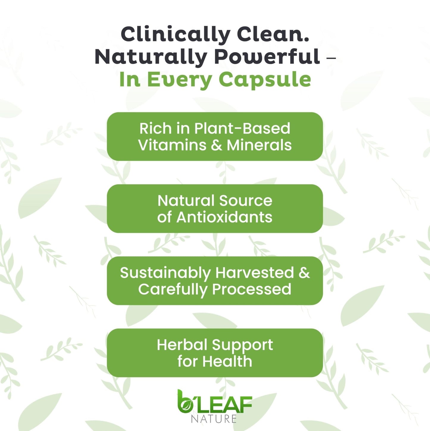 B'LEAF NATURE Moringa and Quercetin Bundle - Non-GMO, Vegan, High Absorption Capsules - 1000mg Quercetin Phytosome Blend + 1000mg Moringa - Natural Energy, Wellness and Immune Support Supplements - Maple Wellness Supplements
