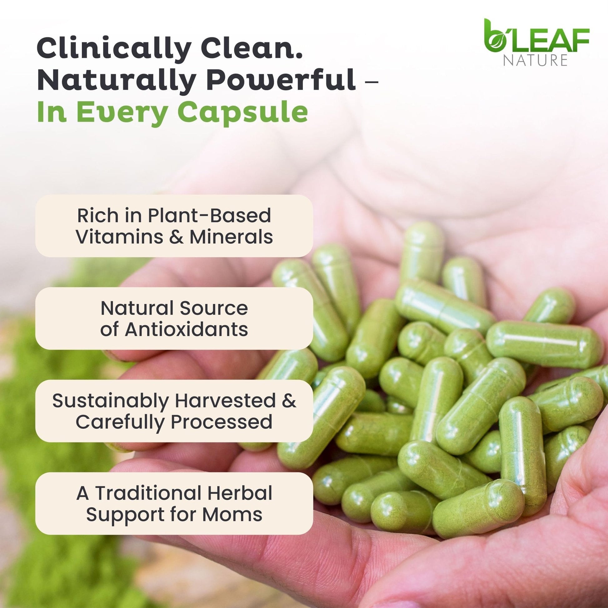 B'Leaf Nature Moringa Capsules Organic 1000mg — Pure Moringa Oleifera Leaf Powder Capsules for Energy & Immune Support - Maple Wellness Supplements