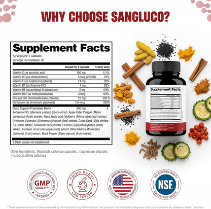Blood Sugar Support Complex Supplement | Supports Healthy Blood Sugar Levels Already Within Normal Range | With Berberine, Cinnamon, Chromium, Turmeric - Maple Wellness Supplements