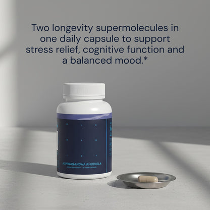 Blueprint Bryan Johnson Ashwagandha & Rhodiola Supplement – 120mg Ashwagandha + Rhodiola Root – Daily Adaptogen Capsules for Stress Support, Mood Balance, Energy & Focus – 30 Vegan Capsules - Maple Wellness Supplements