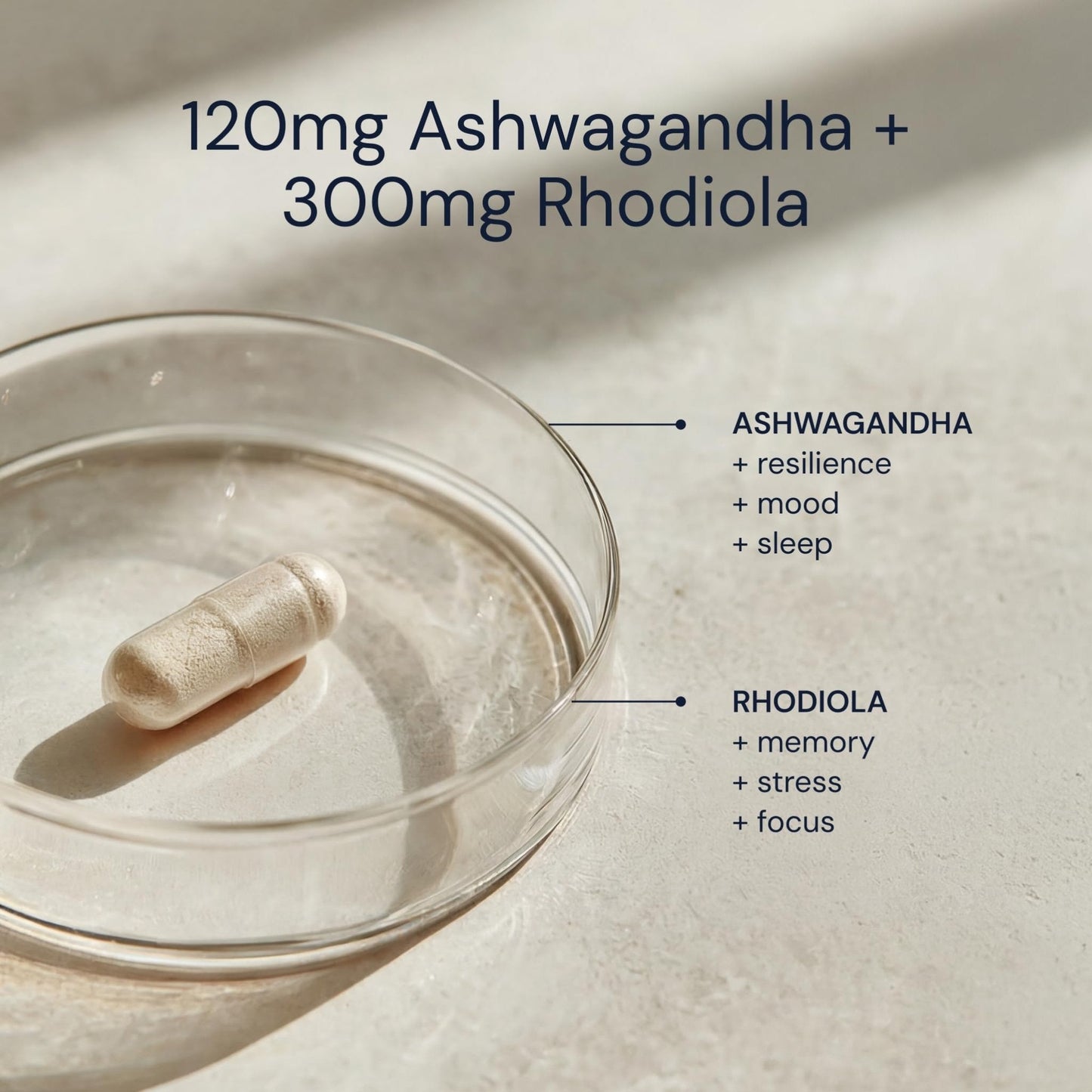 Blueprint Bryan Johnson Ashwagandha & Rhodiola Supplement – 120mg Ashwagandha + Rhodiola Root – Daily Adaptogen Capsules for Stress Support, Mood Balance, Energy & Focus – 30 Vegan Capsules - Maple Wellness Supplements