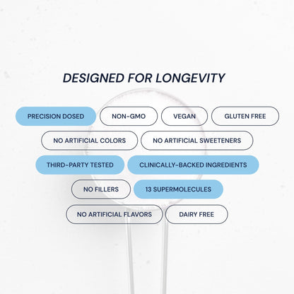 Blueprint Bryan Johnson Longevity Mix - Muscle Builder & Recovery Supplement - Promotes Focus and Balanced Mood - Magnesium, Creatine, L-Theanine - Maple Wellness Supplements