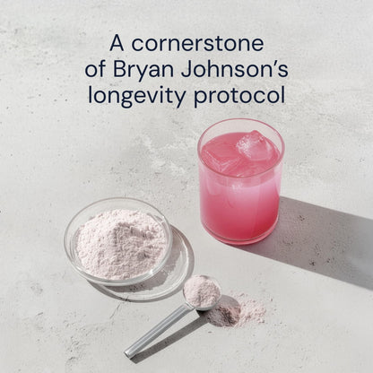 Blueprint Bryan Johnson Longevity Mix - Muscle Builder & Recovery Supplement - Promotes Focus and Balanced Mood - Magnesium, Creatine, L-Theanine - Maple Wellness Supplements