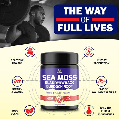 BMVINVOL 100 Capsules - Sea Moss Capsules 20790mg with Bladderwrack, Burdock - Maple Wellness Supplements