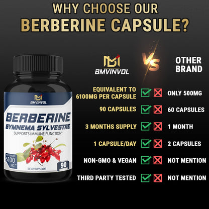 BMVINVOL 5-in-1 Berberine Supplement 6100mg with Ceylon Cinnamon, Gymnema - Maple Wellness Supplements