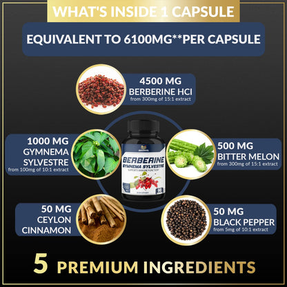 BMVINVOL 5-in-1 Berberine Supplement 6100mg with Ceylon Cinnamon, Gymnema - Maple Wellness Supplements