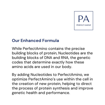 BodyHealth PerfectAmino Powder - EAA Powder for Pre and Post Workout - Amino Acid Energy Drink for Men and Women to Support Lean Muscle and Recovery - Maple Wellness Supplements