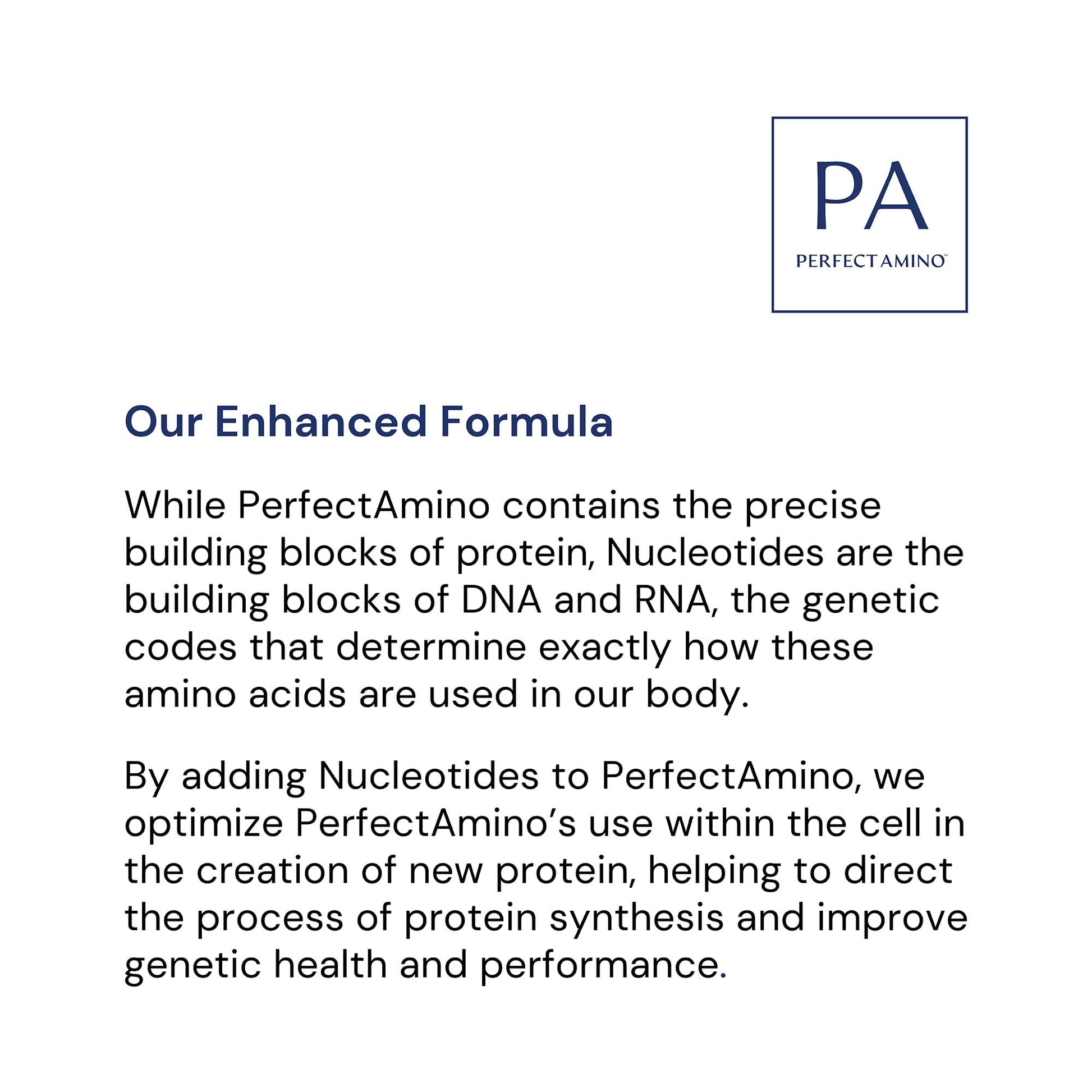 BodyHealth Probiotic Enhanced with PerfectAmino for Women and Men, Spore Based with Bifidobacterium, Lactobacillus Salivarius, - Maple Wellness Supplements