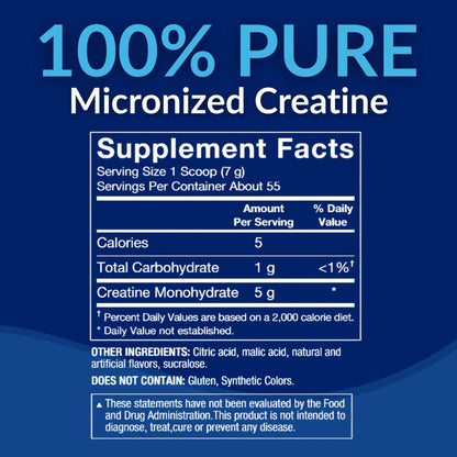 BodyTech 100% Pure Creatine Monohydrate Powder - Micronized for Maximum Absorption - Supports Muscle Strength & Power Output - Maple Wellness Supplements