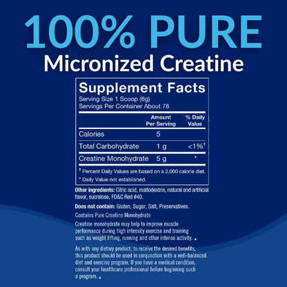 BodyTech Creatine Monohydrate Powder a Micronized a Fruit Punch (11.64 Oz./55 Servings) - Maple Wellness Supplements