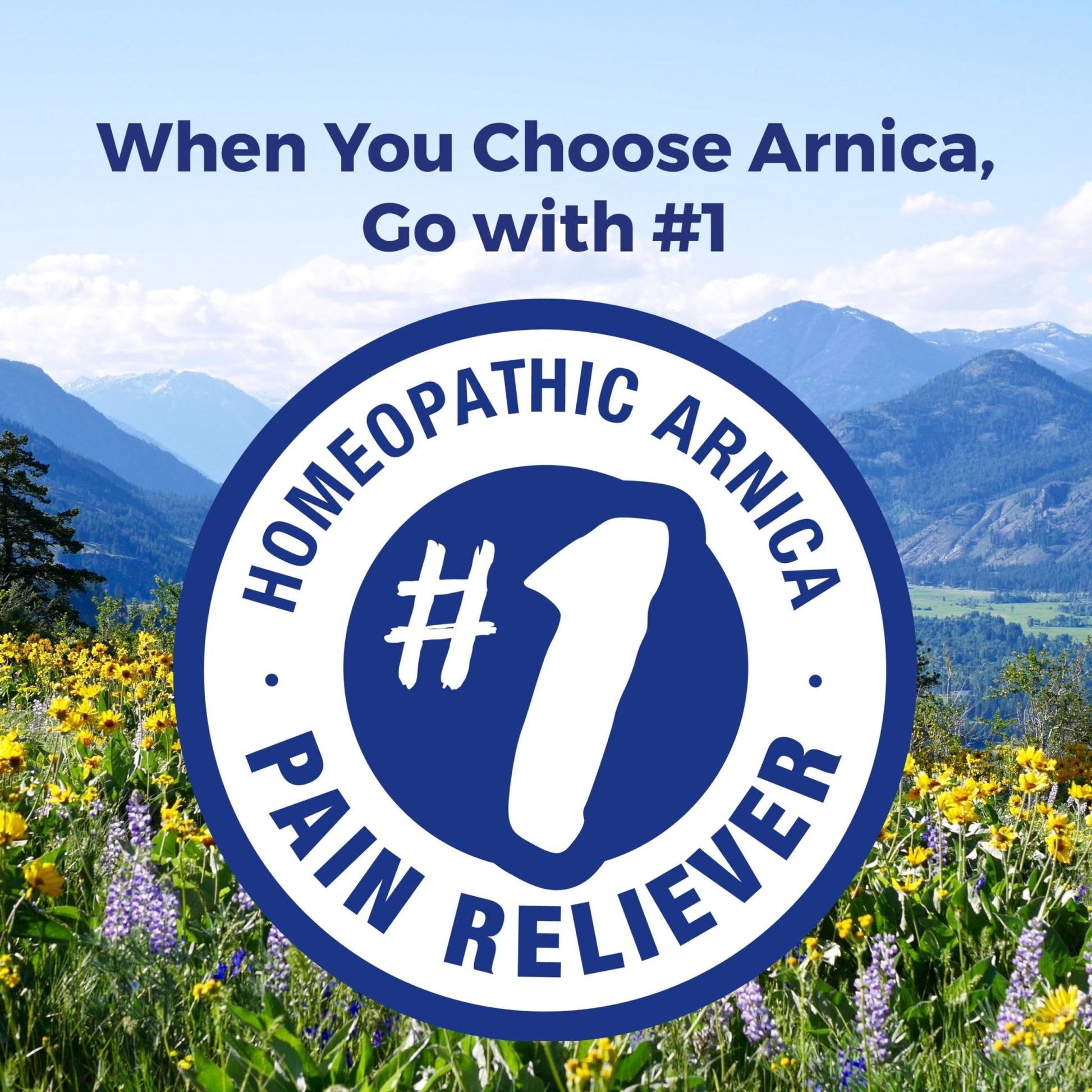 Boiron Arnica Montana 30X Homeopathic Medicine for Relief from Muscle Pain, Muscle Stiffness, Swelling from Injury, and Discoloration from Bruises - 3 Count (240 Pellets) - Maple Wellness Supplements