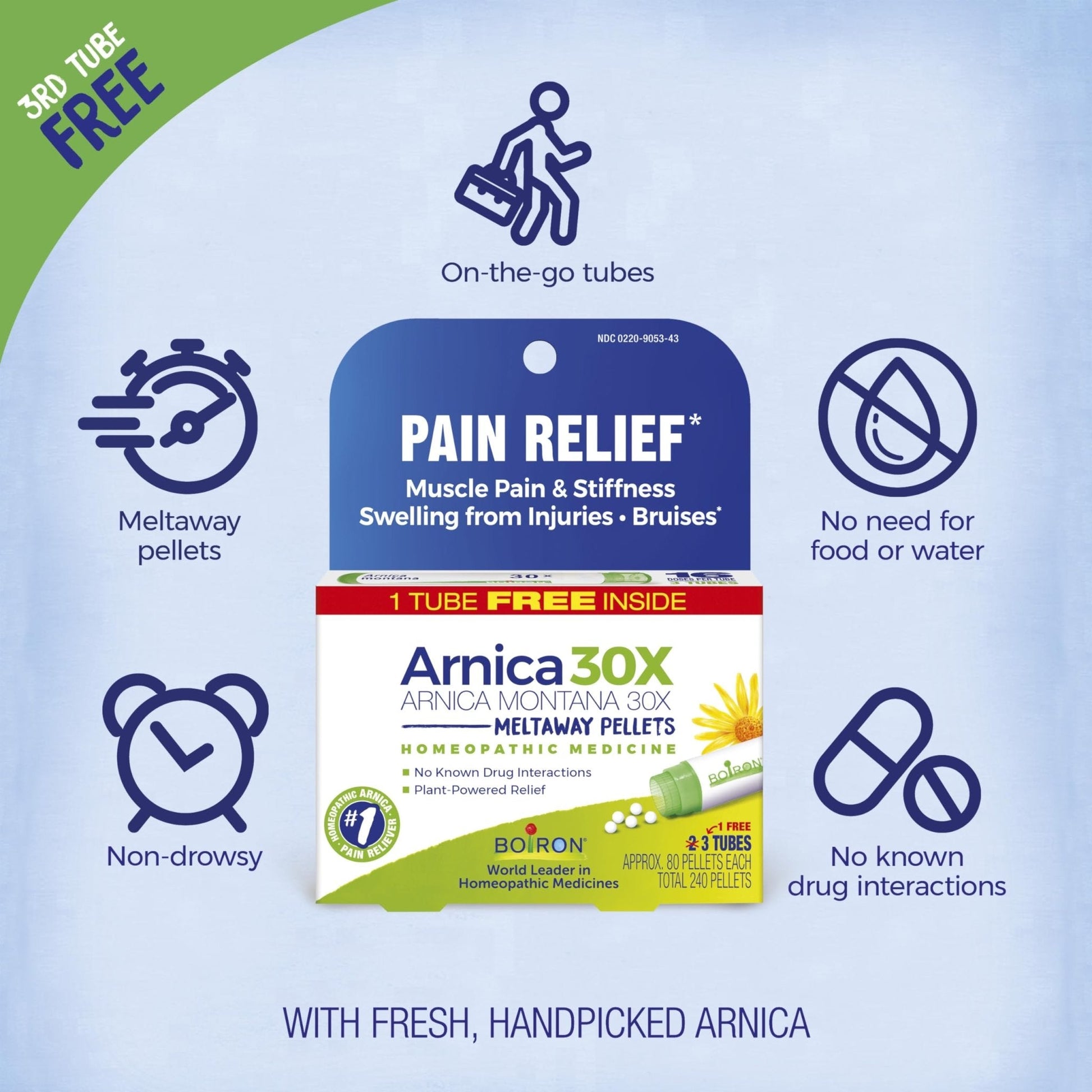 Boiron Arnica Montana 30X Homeopathic Medicine for Relief from Muscle Pain, Muscle Stiffness, Swelling from Injury, and Discoloration from Bruises - 3 Count (240 Pellets) - Maple Wellness Supplements