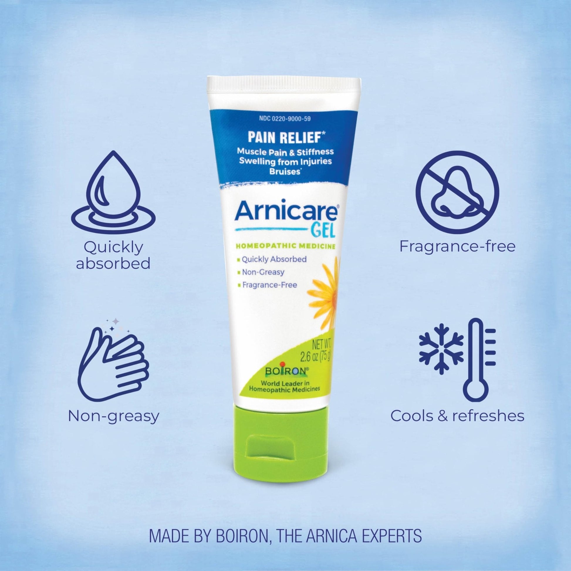 Boiron Arnicare Gel for Joint Pain, Muscle Pain, Swelling, Soreness, and Stiffness - Non-greasy and Fragrance-Free - 2.6 oz - Maple Wellness Supplements