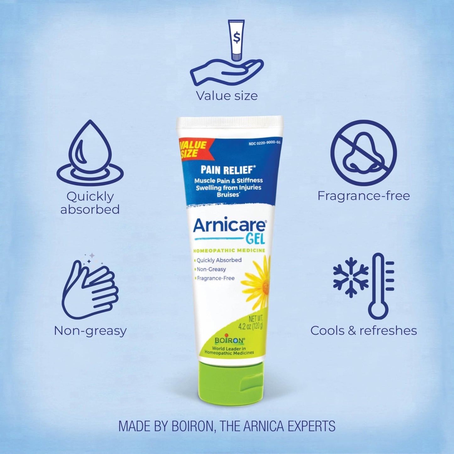 Boiron Arnicare Gel for Relief of Joint Pain, Muscle Pain, Muscle Soreness, and Swelling from Bruises or Injury - Non-greasy and Fragrance-Free - 4.2 oz - Maple Wellness Supplements