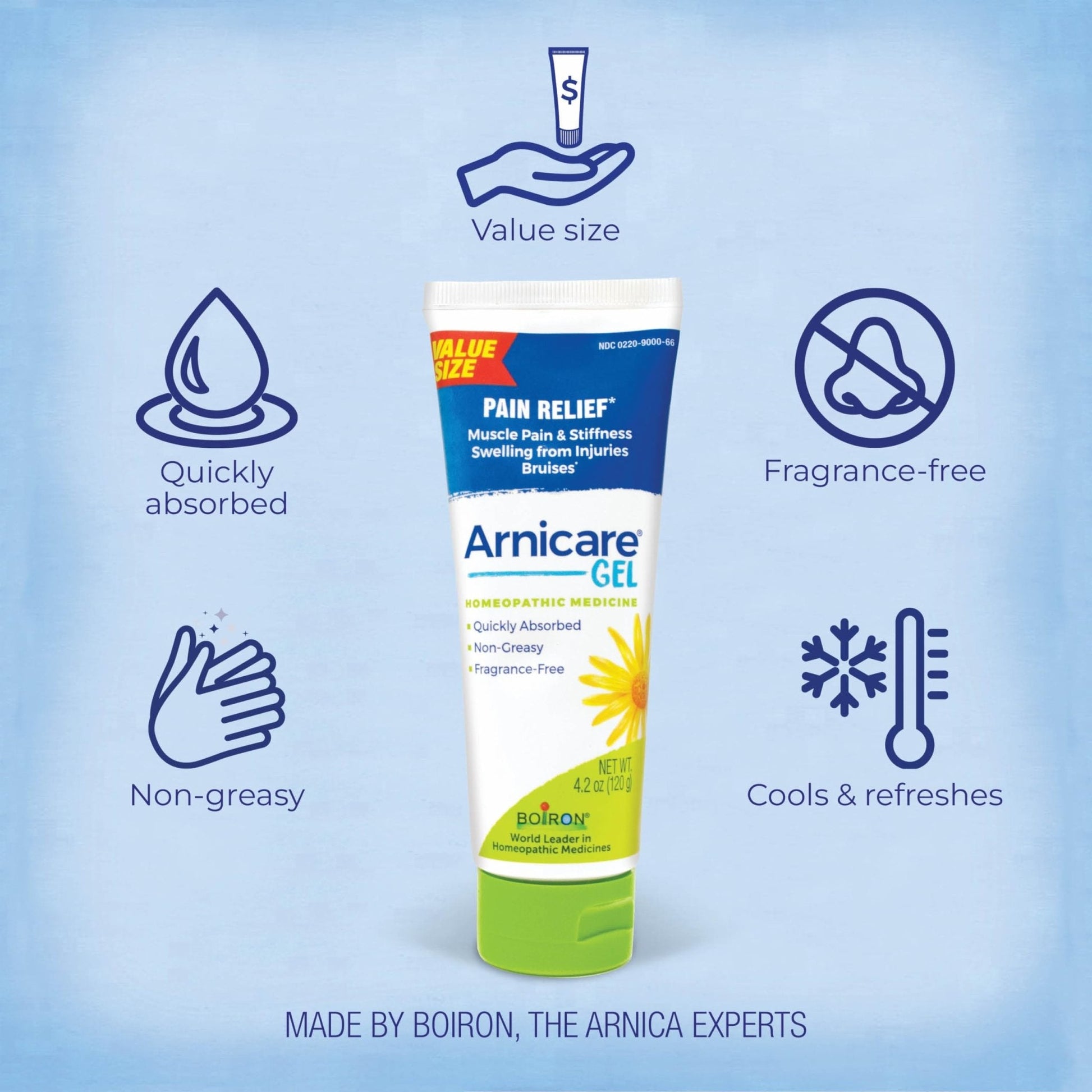 Boiron Arnicare Gel for Relief of Joint Pain, Muscle Pain, Muscle Soreness, and Swelling from Bruises or Injury - Non-greasy and Fragrance-Free - 4.2 oz - Maple Wellness Supplements