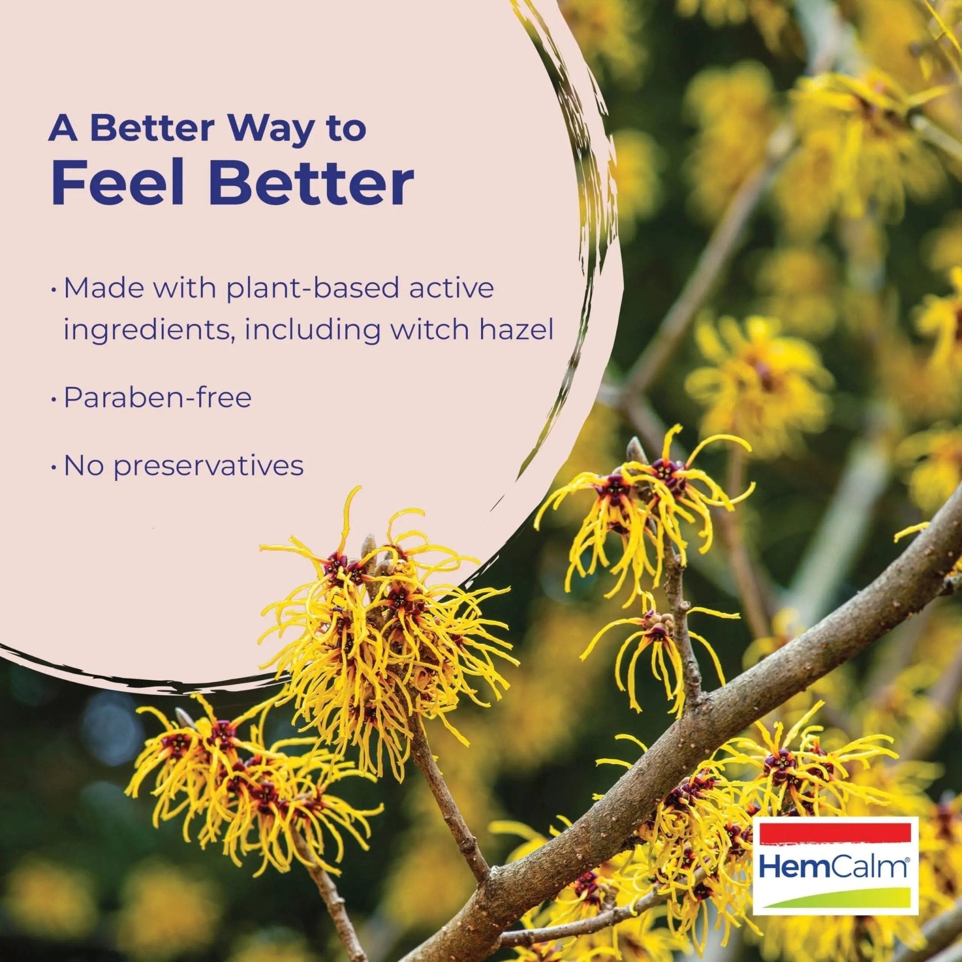 Boiron HemCalm Ointment for Hemorrhoid Relief of Pain, Itching, Swelling or Discomfort - 1 oz - Maple Wellness Supplements