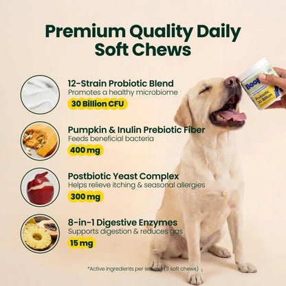Boops Pets Probiotics for Dogs – 30 Billion CFU with Pre, Postbiotics & Digestive Enzymes – Supports Gut Health, Immunity, Loose Stools & Allergies – Filet Mignon Flavor – Vet Formulated – 60 Chews - Maple Wellness Supplements