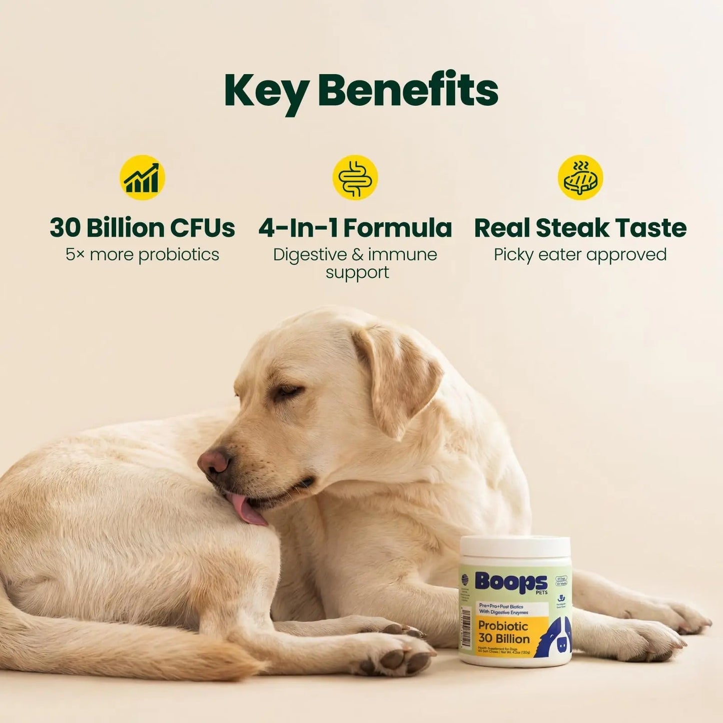 Boops Pets Probiotics for Dogs – 30 Billion CFU with Pre, Postbiotics & Digestive Enzymes – Supports Gut Health, Immunity, Loose Stools & Allergies – Filet Mignon Flavor – Vet Formulated – 60 Chews - Maple Wellness Supplements
