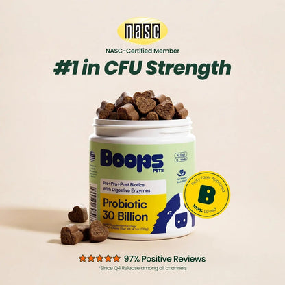 Boops Pets Probiotics for Dogs – 30 Billion CFU with Pre, Postbiotics & Digestive Enzymes – Supports Gut Health, Immunity, Loose Stools & Allergies – Filet Mignon Flavor – Vet Formulated – 60 Chews - Maple Wellness Supplements