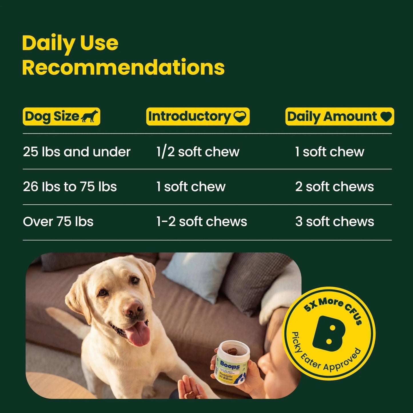 Boops Pets Probiotics for Dogs – 30 Billion CFU with Pre, Postbiotics & Digestive Enzymes – Supports Gut Health, Immunity, Loose Stools & Allergies – Filet Mignon Flavor – Vet Formulated – 60 Chews - Maple Wellness Supplements