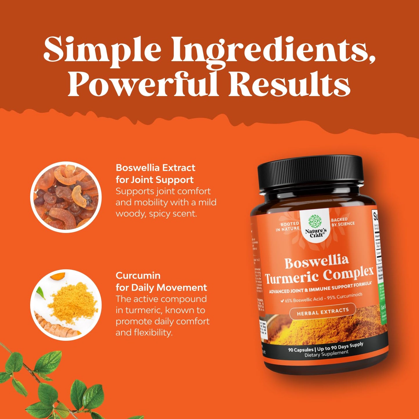 Boswellia Extract Capsules with Turmeric - Advanced Immune Health Support Supplement - Turmeric & Boswellia Serrata Capsules 500mg per Serving for Body Detox & Healthy Joints - 90 Count - Maple Wellness Supplements