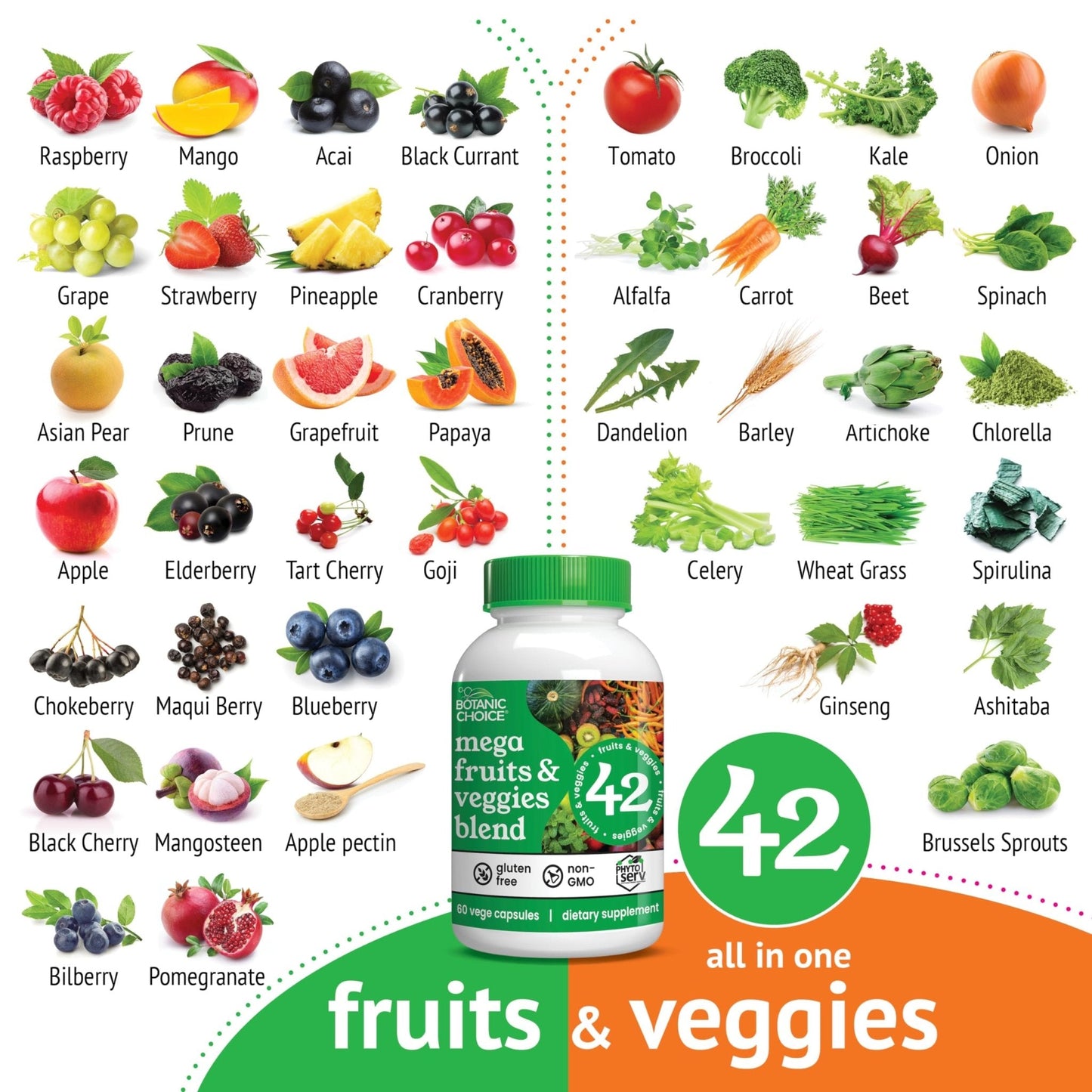 Botanic Choice Since 1910 - Mega Fruits & Veggies Blend - 42 Fruits and Vegetables - 2 Caps Daily - 60 Count Supplement - Maple Wellness Supplements