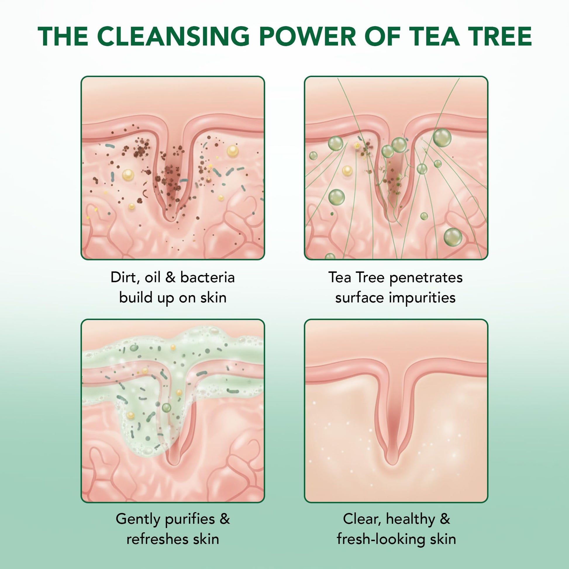 Botanic Hearth Tea Tree Body Wash -16 fl oz- All-Natural Antifungal & Odor-Control Shower - Maple Wellness Supplements