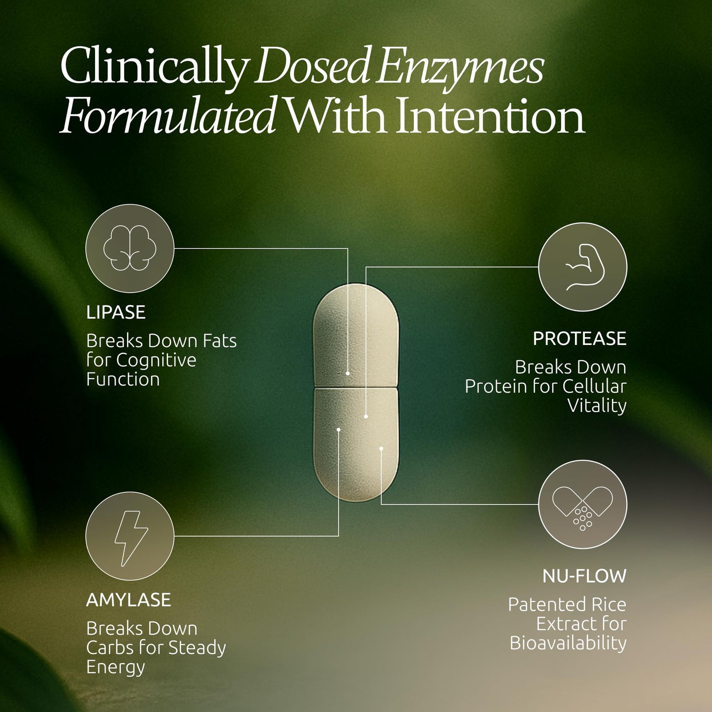 Boulder Bio Digestive Enzymes | 40,000 USP Lipase - Prescription Strength Pancreatic Enzyme Replacement Formula for Fat Digestion, Gut Health & Nutrient Absorption - Maple Wellness Supplements