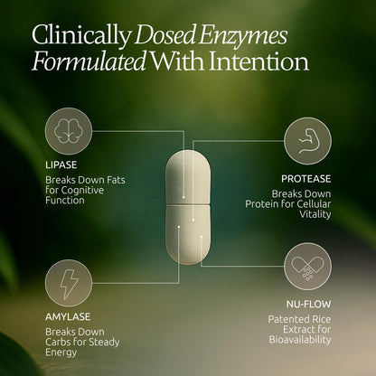 Boulder Bio Digestive Enzymes | 40,000 USP Lipase - Prescription Strength Pancreatic Enzyme Replacement Formula for Fat Digestion, Gut Health & Nutrient Absorption - Maple Wellness Supplements