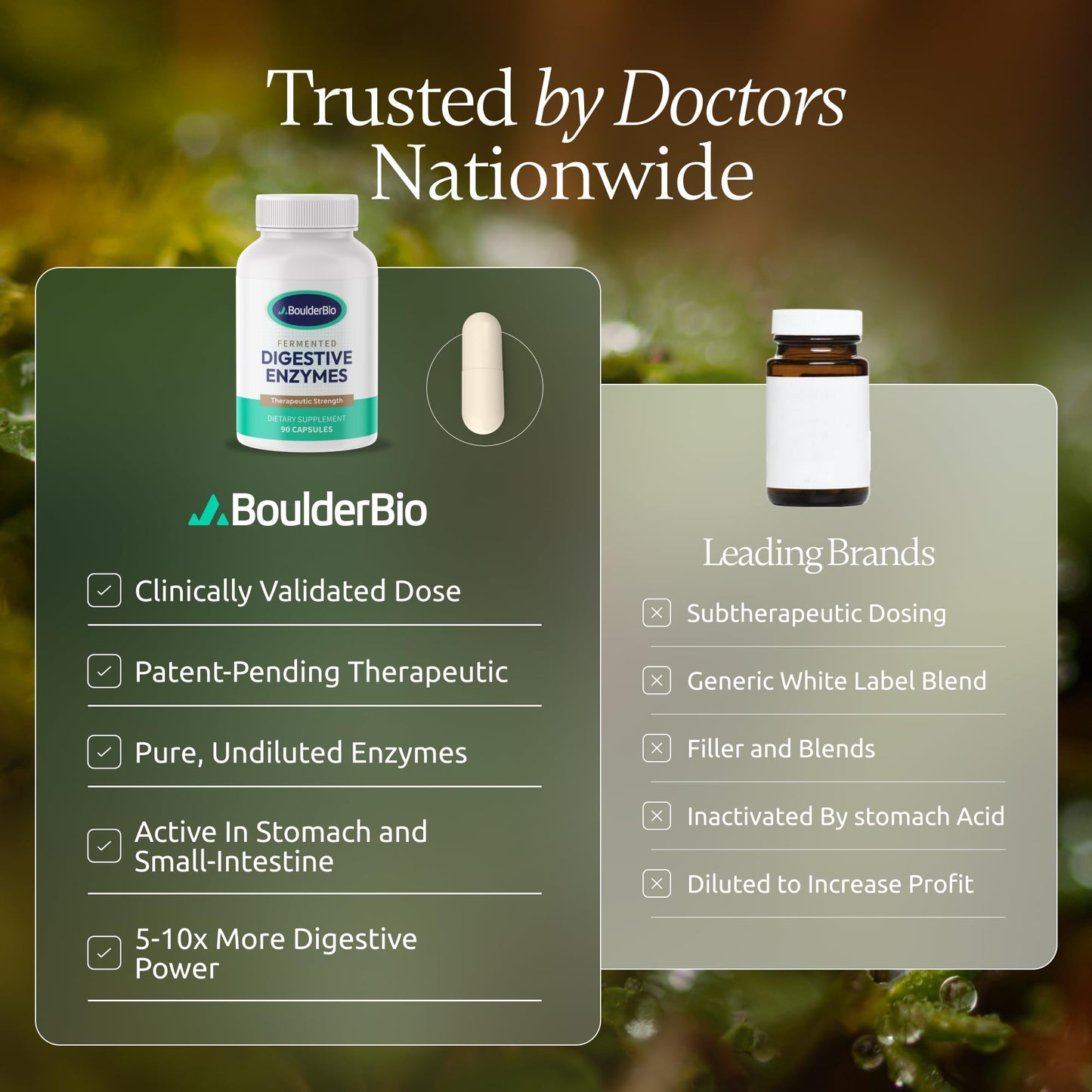 Boulder Bio Digestive Enzymes | 40,000 USP Lipase - Prescription Strength Pancreatic Enzyme Replacement Formula for Fat Digestion, Gut Health & Nutrient Absorption - Maple Wellness Supplements