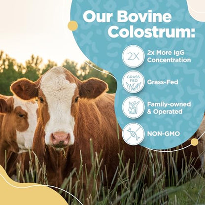 Bovine Colostrum Powder - 40% IgG Highly Concentrated Pure Bovine Colostrum - Maple Wellness Supplements