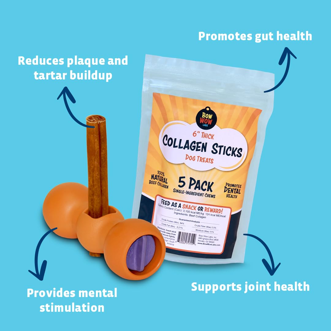 Bow Wow Labs 12" SafeFit Collagen Sticks for Dogs 5 Pack/Jumbo – All-Natural Chews for Joint, Gut, Bone & Oral Health - Maple Wellness Supplements