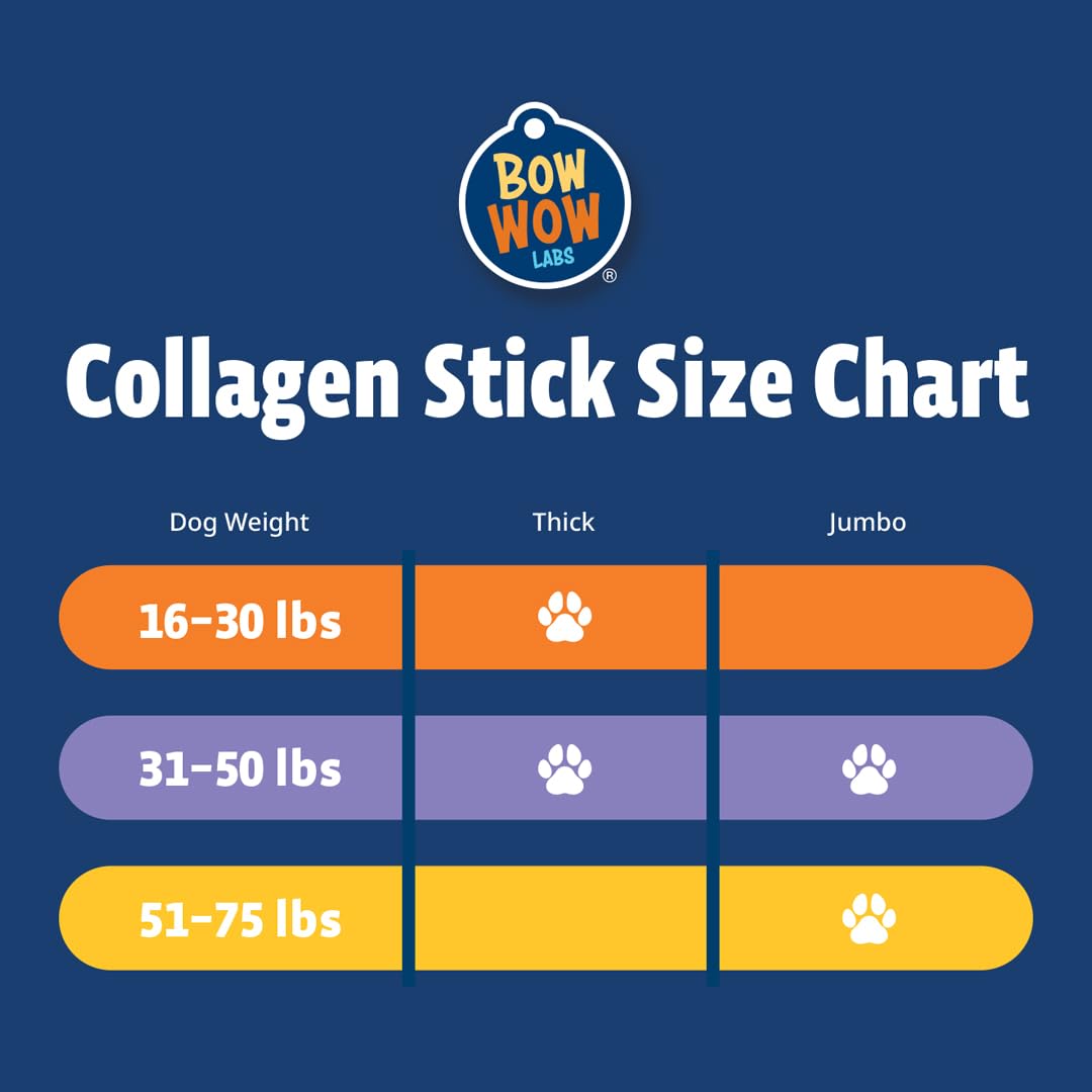 Bow Wow Labs 12" SafeFit Collagen Sticks for Dogs 5 Pack/Jumbo – All-Natural Chews for Joint, Gut, Bone & Oral Health - Maple Wellness Supplements