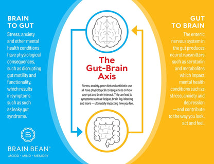 Brain Basics Ultra Pure IgG Supplement - Dairy-Free Supplement IgG-Immunolin Powder, Blended Vitamin & Mineral Supplements, 150g, 60 Servings - Maple Wellness Supplements
