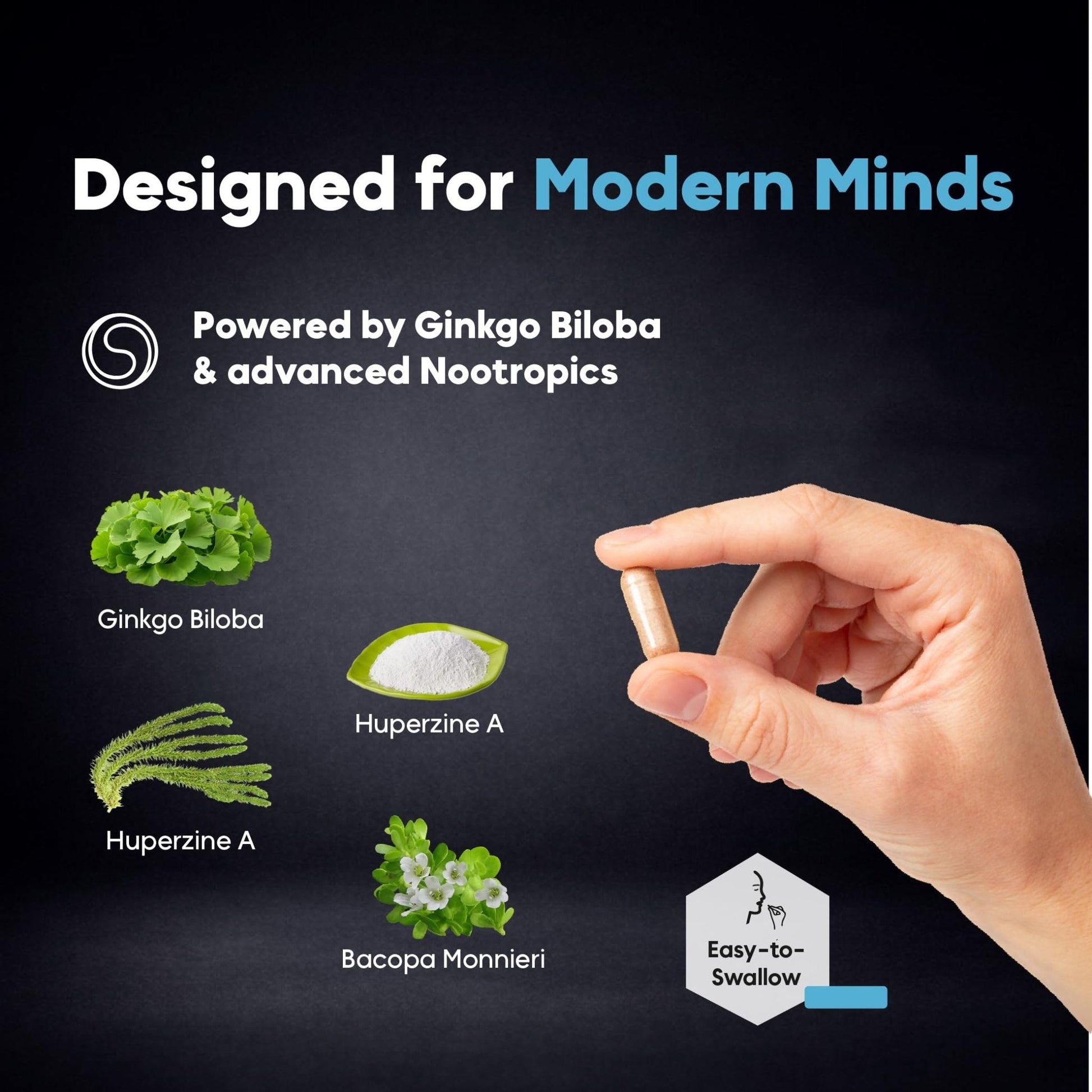 Brain Neuro Matrix – Memory & Focus Nootropic with Ginkgo Biloba & Huperzine A – Caffeine-Free Vegan Brain Supplement for Clarity, Focus & Mood – 90 Capsules (3-Month Supply) - Maple Wellness Supplements